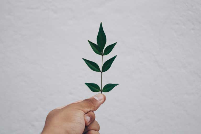 Productes naturals i ecològics